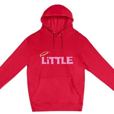 Gbig Big Little Sorority Reveal Funny Family Sorority Little Premium Pullover Hoodie