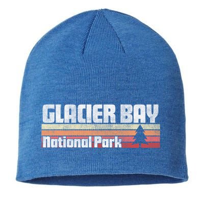 Glacier Bay National Park Retro Style Vintage 70s 80s 90s Gift Sustainable Beanie