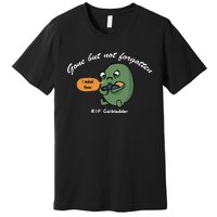 Gone But Not Forgotten RIP Gallbladder Premium T-Shirt