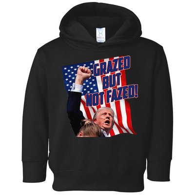 Grazed But Not Fazed! Toddler Hoodie