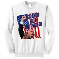 Grazed But Not Fazed! Sweatshirt