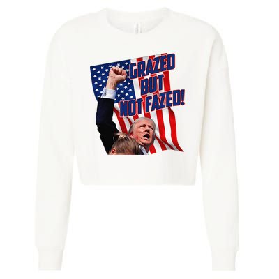 Grazed But Not Fazed! Cropped Pullover Crew
