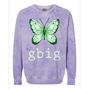 GBig Butterfly Sorority Reveal Big Little for Lil Sister Colorblast Crewneck Sweatshirt