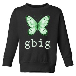 GBig Butterfly Sorority Reveal Big Little for Lil Sister Toddler Sweatshirt