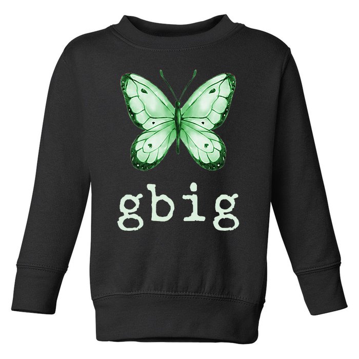 GBig Butterfly Sorority Reveal Big Little for Lil Sister Toddler Sweatshirt