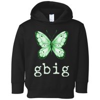 GBig Butterfly Sorority Reveal Big Little for Lil Sister Toddler Hoodie