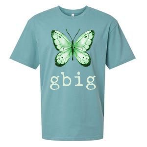 GBig Butterfly Sorority Reveal Big Little for Lil Sister Sueded Cloud Jersey T-Shirt