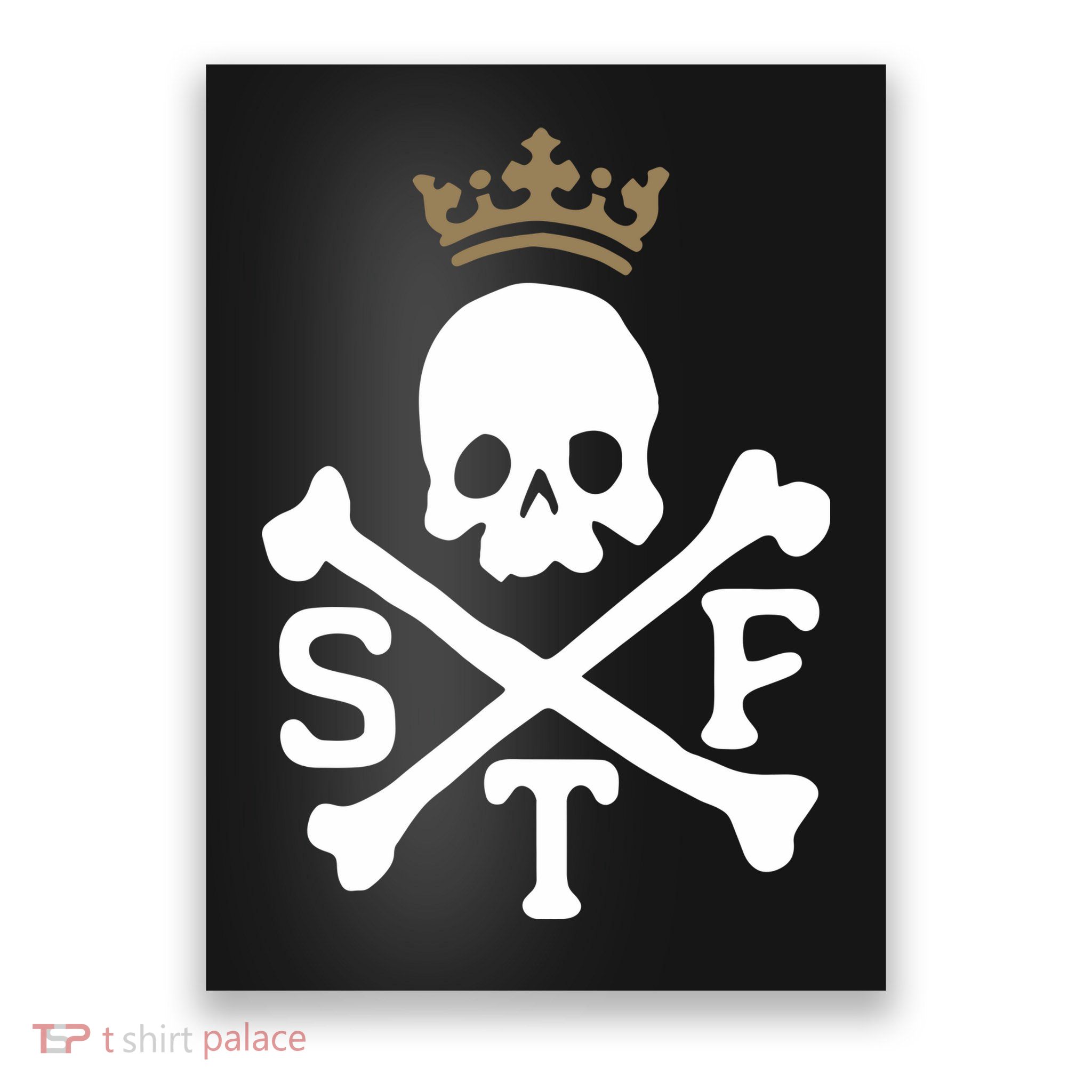 Glenn Beck Stf Skull & Bones Poster