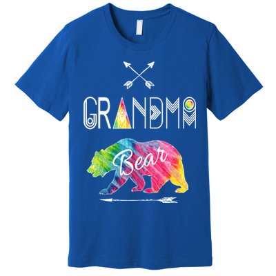 Grandma Bear Tie Dye Matching Family Vacation And Camping Great Gift Premium T-Shirt
