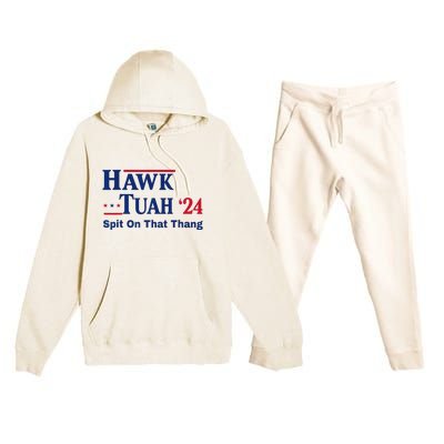 God Bless The Usa American Patriotic Eagle Superhero Designhawk Tuah 2024 Funny Premium Hooded Sweatsuit Set