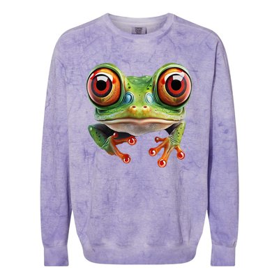 Green Body Tree Frog Red Eyed Tree Frog Rainforest Amphibian Colorblast Crewneck Sweatshirt