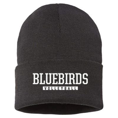 Goessel Bluebirds Volleyball Hs Sustainable Knit Beanie