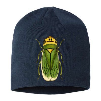 Green Cicada 2024 Sustainable Beanie