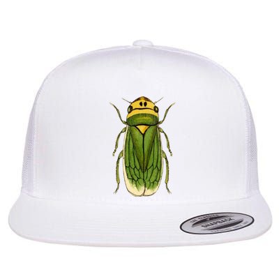 Green Cicada 2024 Flat Bill Trucker Hat