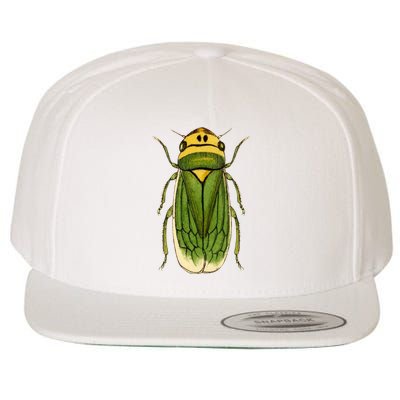 Green Cicada 2024 Wool Snapback Cap