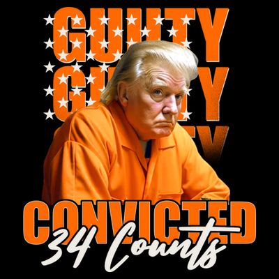 Guilty Convicted 34 Counts Trump T-Shirt