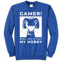 Gaming Costumes And Gamer Funny Gift Lover Of Gaming Great Gift Tall Sweatshirt