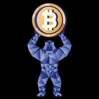 Gorilla Cryptocurrency Bitcoin 7-Panel Snapback Hat