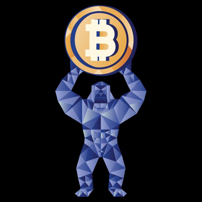 Gorilla Cryptocurrency Bitcoin 7-Panel Snapback Hat