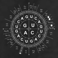 Genetic Code Biology Cool Comfort Performance Bucket Hat