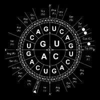 Genetic Code Biology 16 in Basic Backpack