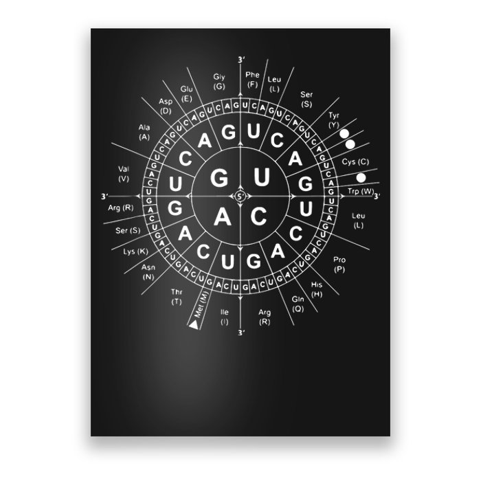 Genetic Code Biology Poster