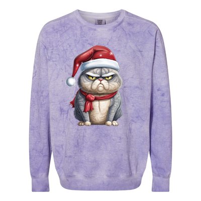 Grumpy Christmas Cat Santa Hat Colorblast Crewneck Sweatshirt