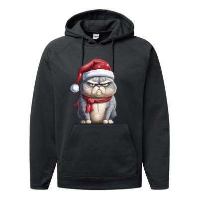 Grumpy Christmas Cat Santa Hat Performance Fleece Hoodie