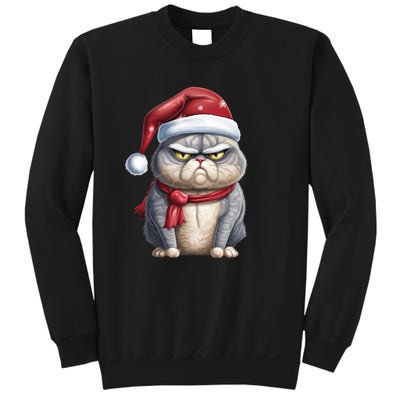 Grumpy Christmas Cat Santa Hat Sweatshirt