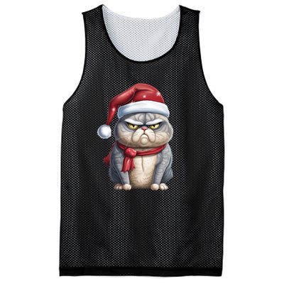 Grumpy Christmas Cat Santa Hat Mesh Reversible Basketball Jersey Tank