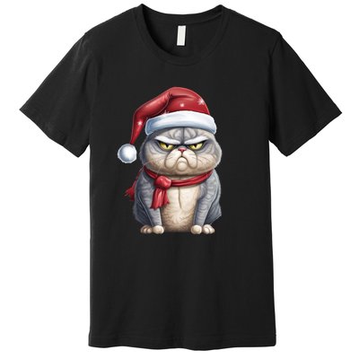 Grumpy Christmas Cat Santa Hat Premium T-Shirt