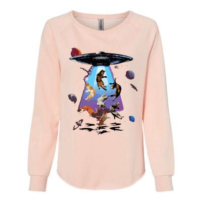 Galaxy Cat Cat UFO Funny Cat Cat Graphic Cat Owner Womens California Wash Sweatshirt