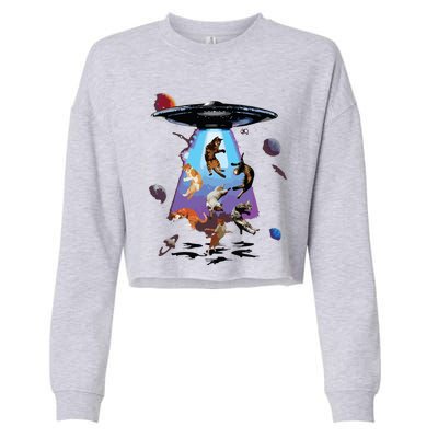 Galaxy Cat Cat UFO Funny Cat Cat Graphic Cat Owner Cropped Pullover Crew