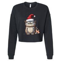 Grumpy Christmas Cat Santa Hat Cropped Pullover Crew