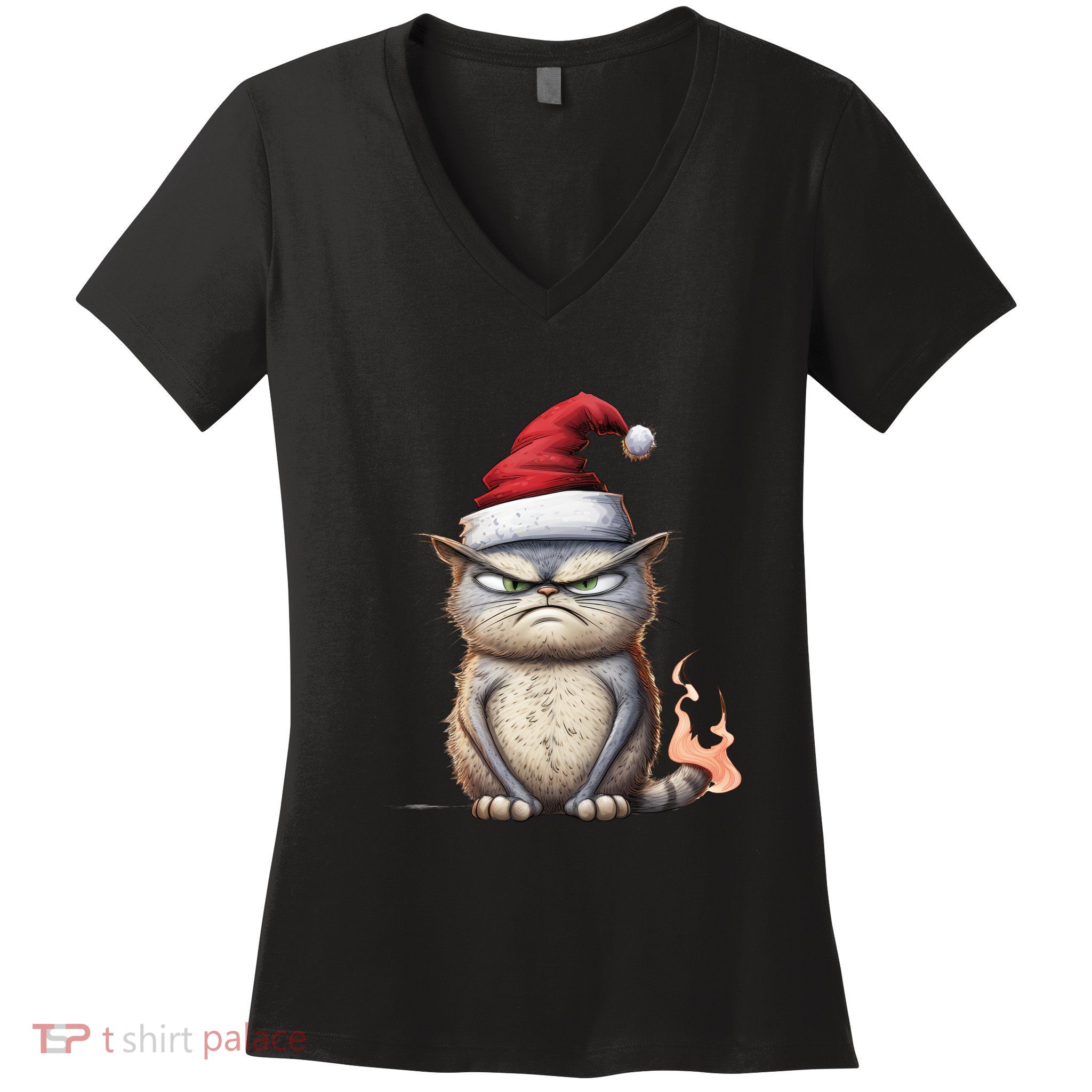Grumpy Christmas Cat Santa Hat Women's V-Neck T-Shirt
