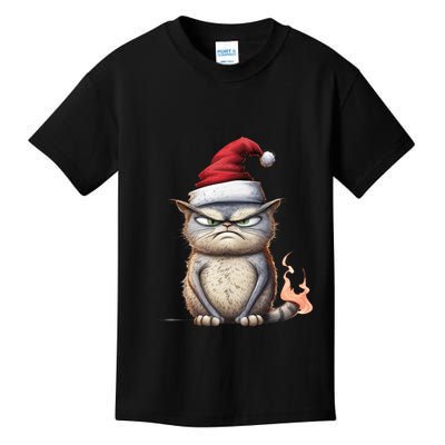 Grumpy Christmas Cat Santa Hat Kids T-Shirt