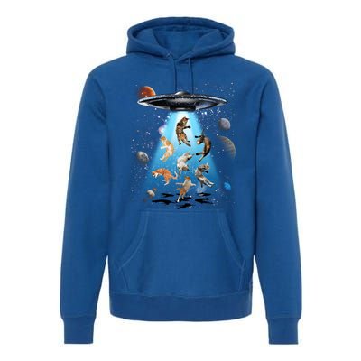 Galaxy Cat Cat Ufo Funny Cat Cat Graphic Cat Owner Gift Premium Hoodie