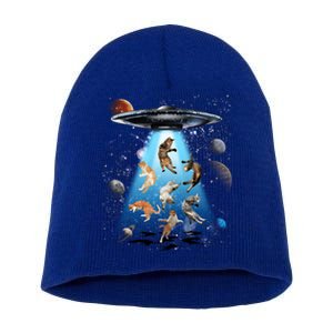 Galaxy Cat Cat Ufo Funny Cat Cat Graphic Cat Owner Gift Short Acrylic Beanie