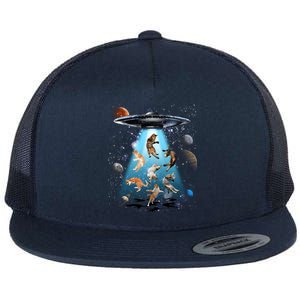 Galaxy Cat Cat Ufo Funny Cat Cat Graphic Cat Owner Gift Flat Bill Trucker Hat