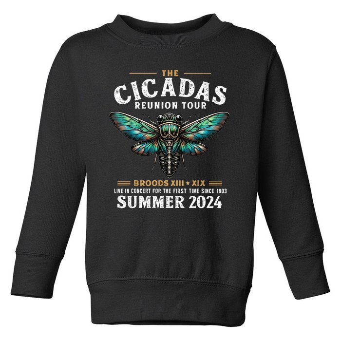 Great Cicada Come Back 2024 Cicada Invasion 2024 Toddler Sweatshirt