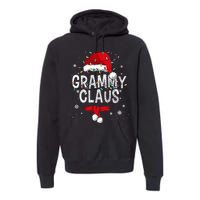 Grammy Claus Christmas Family Matching Pajama Santa Gift Premium Hoodie