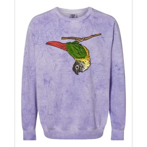 Green Cheek Conure Parrot Bird Conure Colorblast Crewneck Sweatshirt