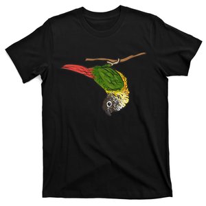 Green Cheek Conure Parrot Bird Conure T-Shirt