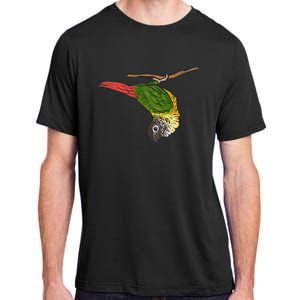 Green Cheek Conure Parrot Bird Conure Adult ChromaSoft Performance T-Shirt