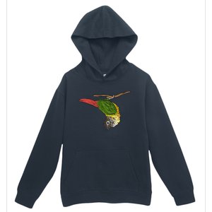 Green Cheek Conure Parrot Bird Conure Urban Pullover Hoodie