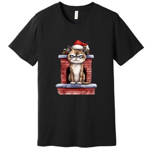 Grumpy Christmas Cat Chimney Premium T-Shirt