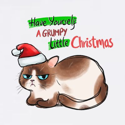 Grumpy Christmas Cat | Have Yourself A Grumpy Little Christmas T-Shirt