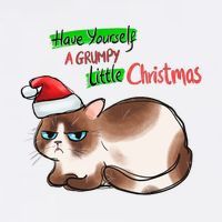 Grumpy Christmas Cat | Have Yourself A Grumpy Little Christmas Toddler T-Shirt