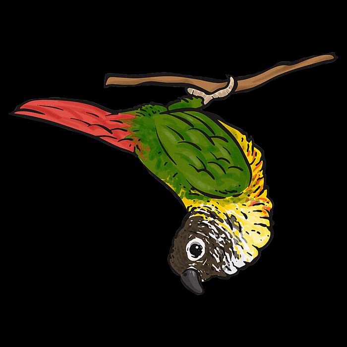 Green Cheek Conure Parrot Bird Conure 16 in Basic Backpack