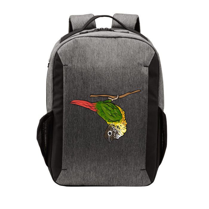 Green Cheek Conure Parrot Bird Conure Vector Backpack